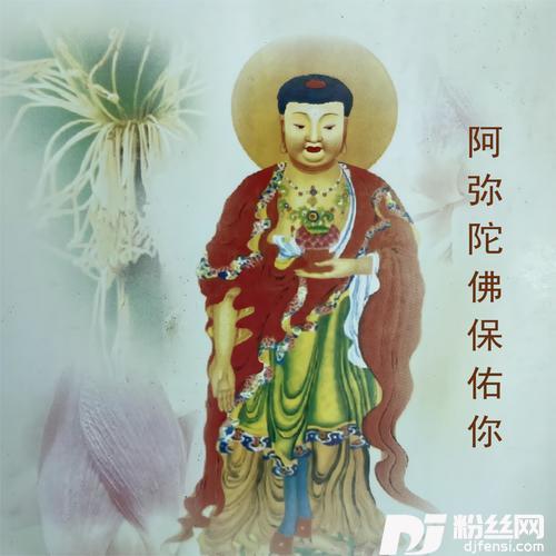 珍惜的专辑