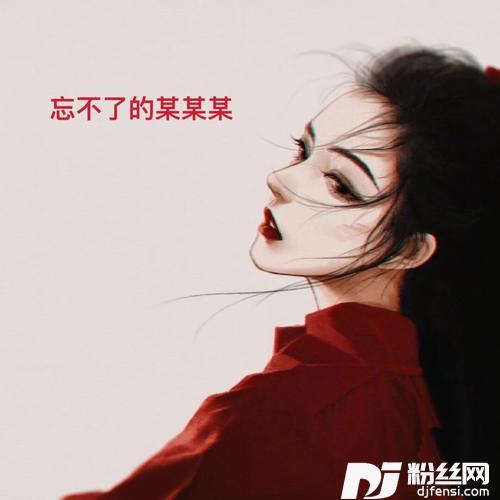 忘不了的某某某的专辑