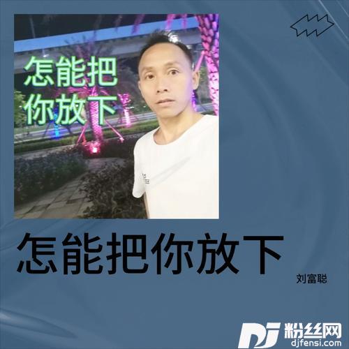怎能把你放下cover:倪红