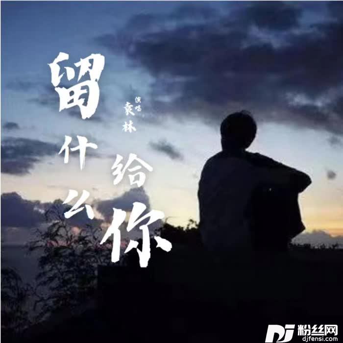 留什么给你DJ京仔版