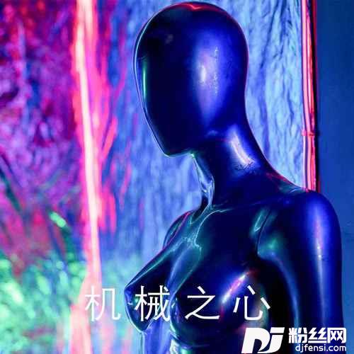 机械之心Demo