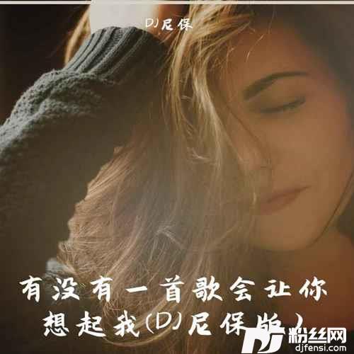 有没有一首歌会让你想起我DJ尼保版的专辑