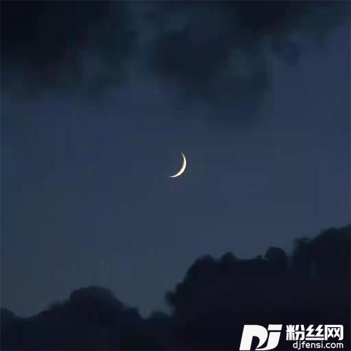 像江南折过花的专辑