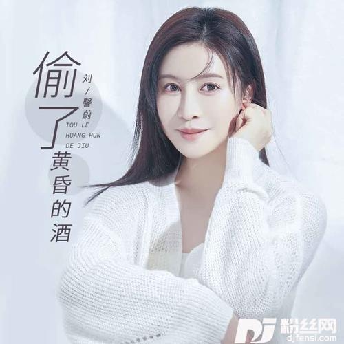 偷了黄昏的酒DJ默涵版