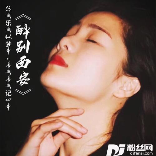 醉别西安
