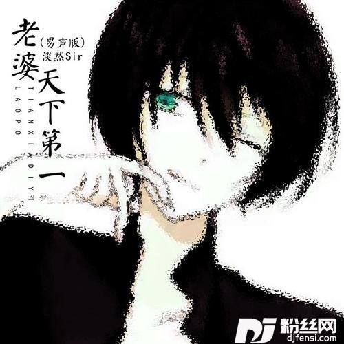 老婆天下第一男声版
