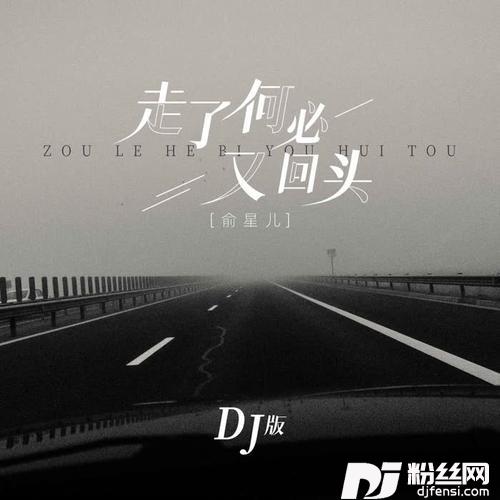 走了何必又回头DJ版