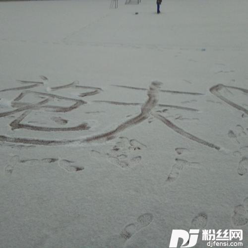 无名的专辑
