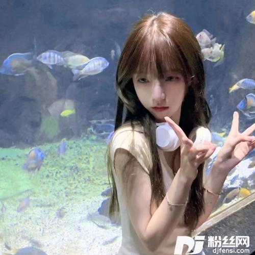 死了都要爱cover:信乐团的专辑