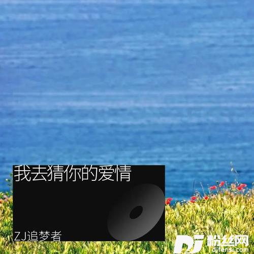 我去猜你的爱情