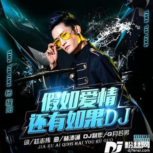 假如爱情还有如果（DJ版）