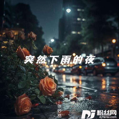 突然下雨的夜