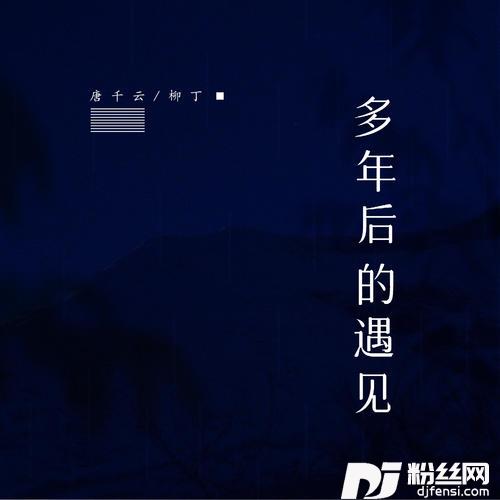 多年后的遇见的专辑