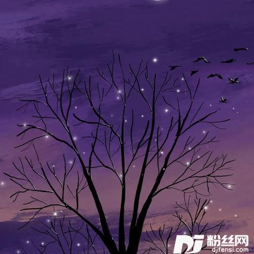 阿拉斯加海湾cover:菲道尔