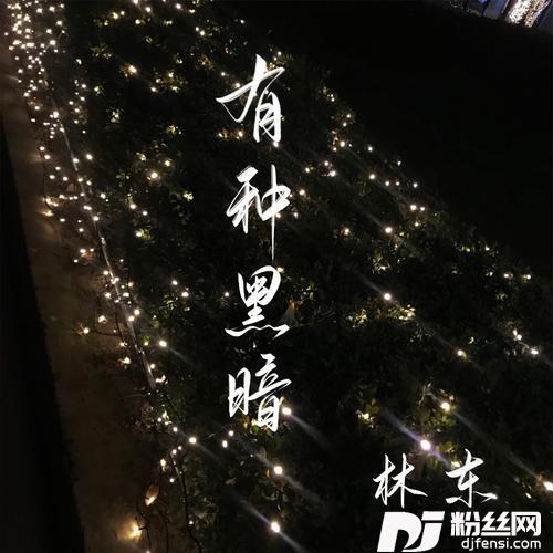 有种黑暗的专辑