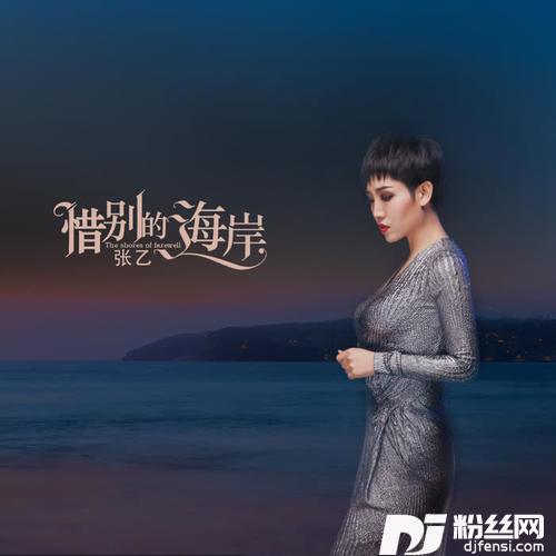 惜别的海岸DJ伟然版