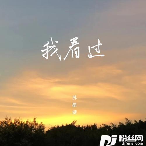我看过的专辑