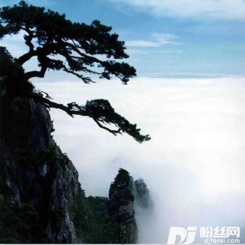 小船儿摇