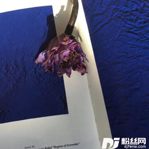 别找我麻烦cover:蓝盈莹