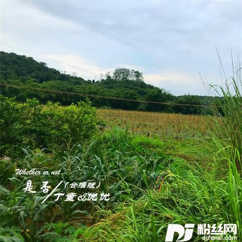 是否（合唱版）