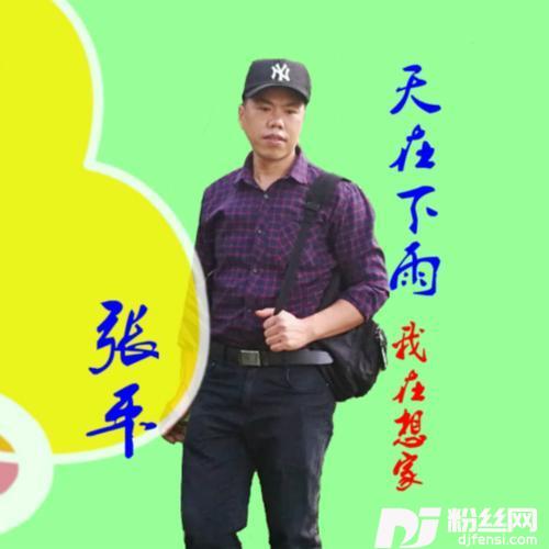 一生爱你不离去的专辑