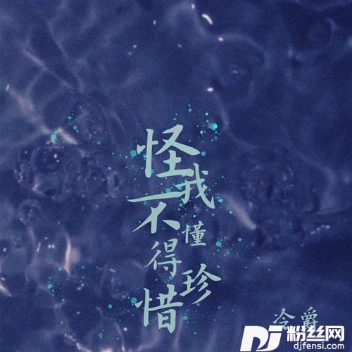 怪我不懂得珍惜DJ名龙版
