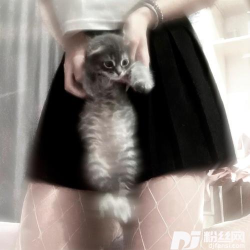 MissingGreyCatExplicit的专辑