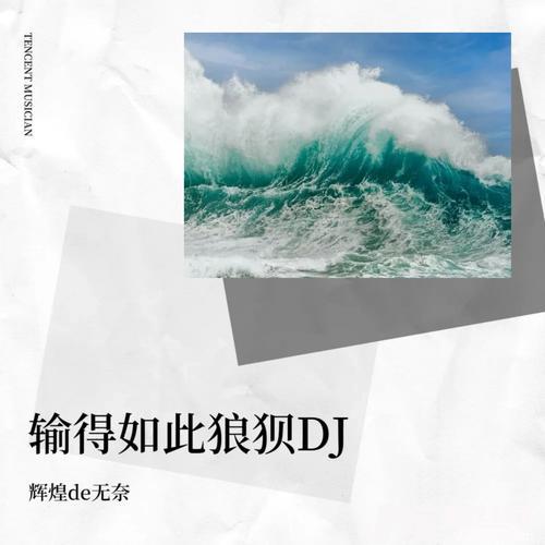 输得如此狼狈DJ版cover:赵洋