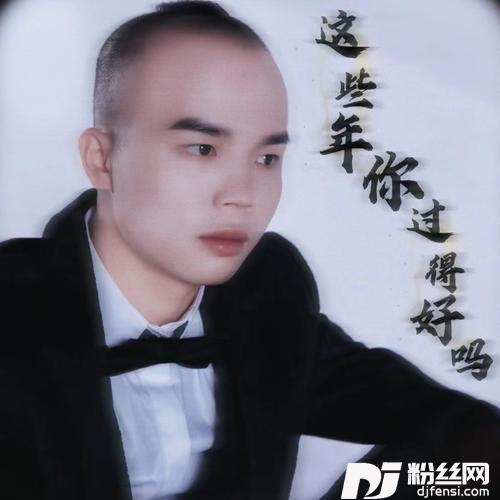 这些年你过得好吗-dj版的专辑
