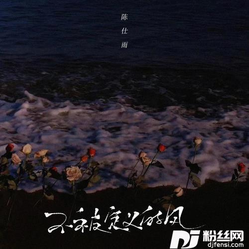 不被定义的风