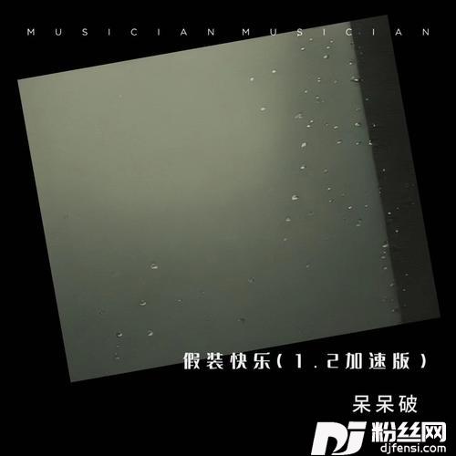 假装快乐1.2加速版的专辑