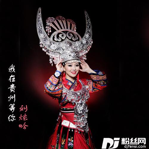 我在贵州等你DJ版