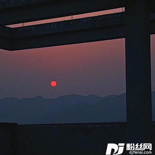 NE的专辑