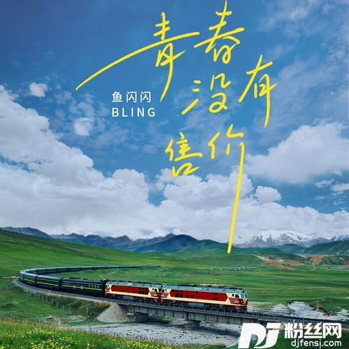 青春没有售价DJ阿卓版