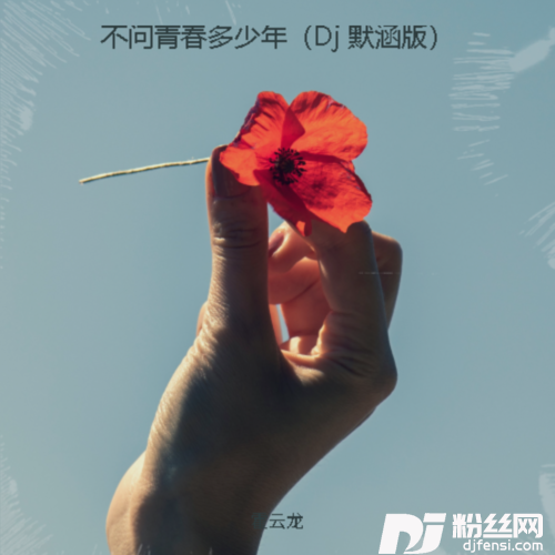 不问青春多少年（Dj默涵版）