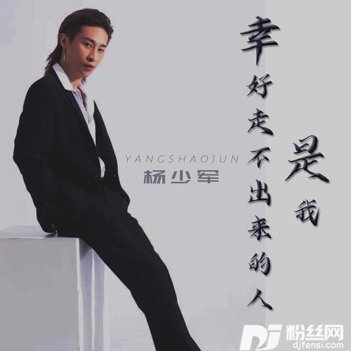 幸好走不出来的人是我DJ版