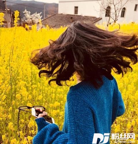 不言中cover:丸药的专辑