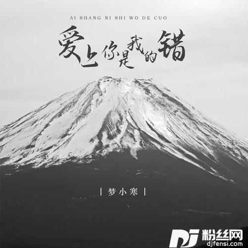 爱上你是我的错DJ版的专辑