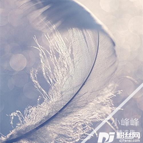 他和她的爱情故事