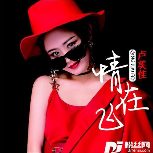 情在飞