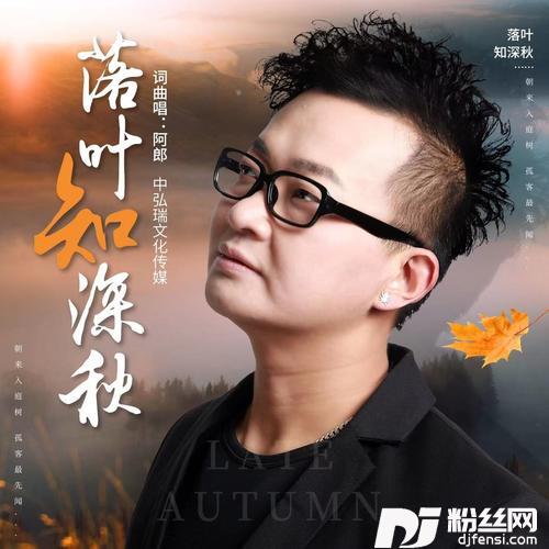 落叶知深秋DJ阿远Remix