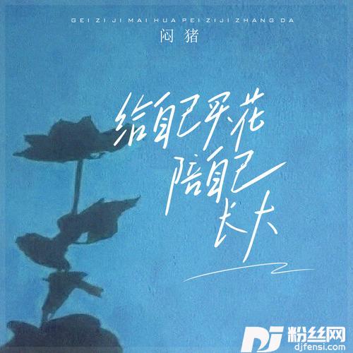 给自己买花，陪自己长大DJ阿哲版的专辑