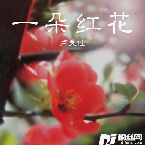 一朵红花