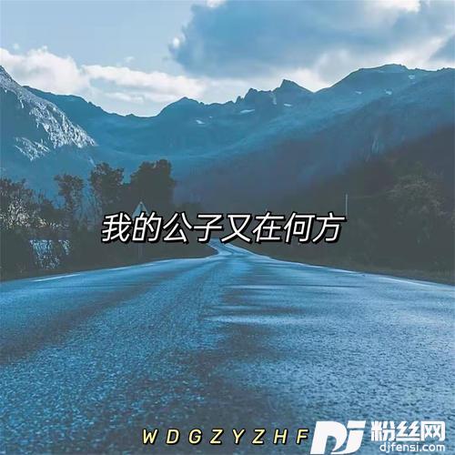 我的公子又在何方DJ热搜版