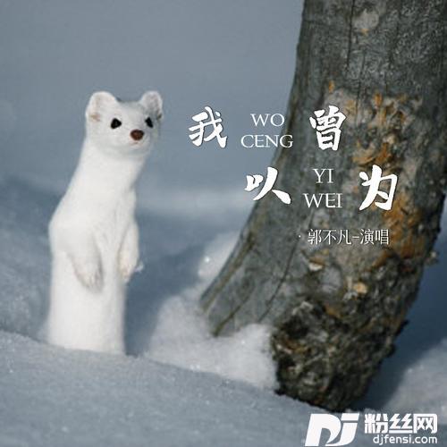 我曾以为的专辑
