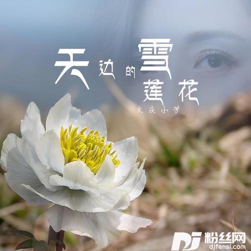 天边的雪莲花