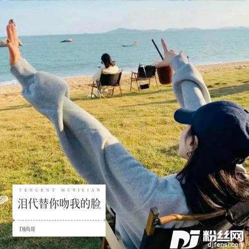 谁能明白我DJ尚哥remix