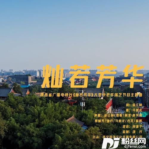 灿若芳华-站在舞台上