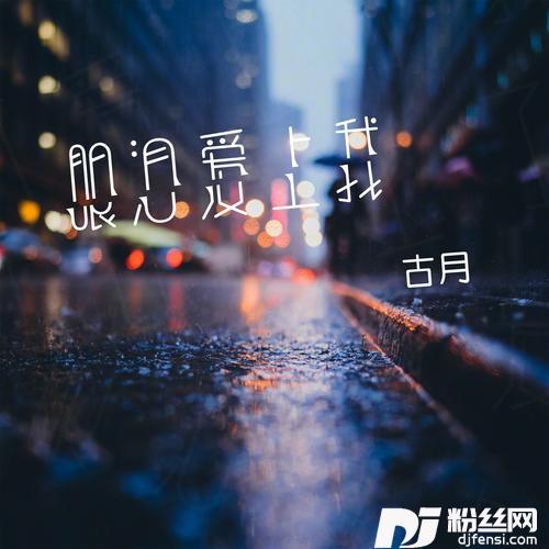 眼泪爱上我