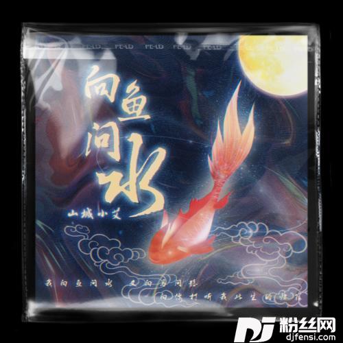 向鱼问水DJ名龙版的专辑